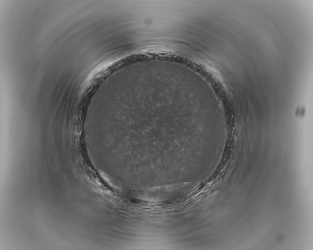 X0000094180920200711021002