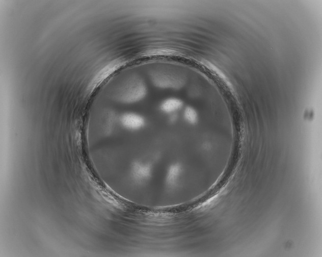 X0000094180921200711021002