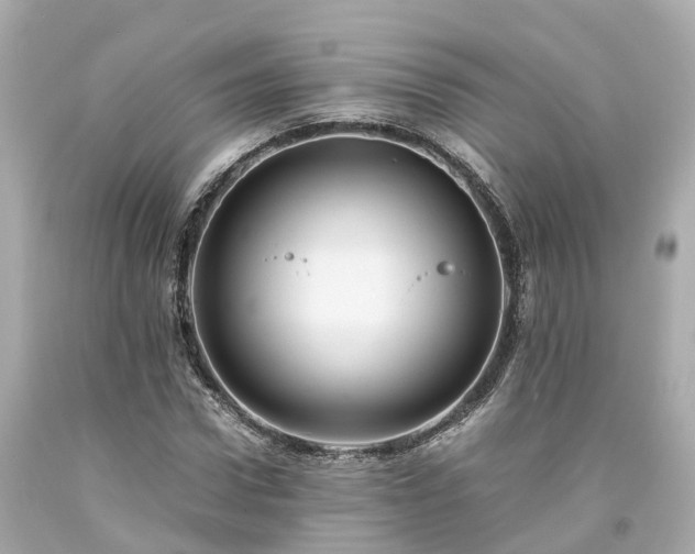 X0000094180922200711021002