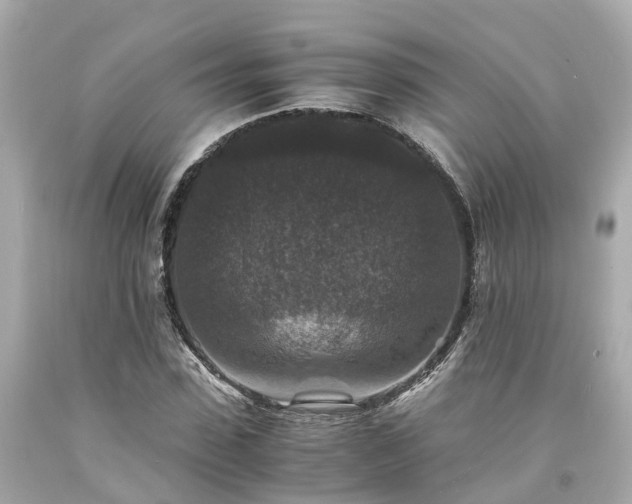 X0000094180923200711021002
