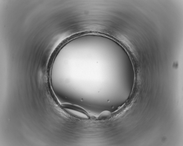 X0000094180924200711021002
