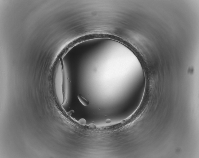 X0000094180926200711021002