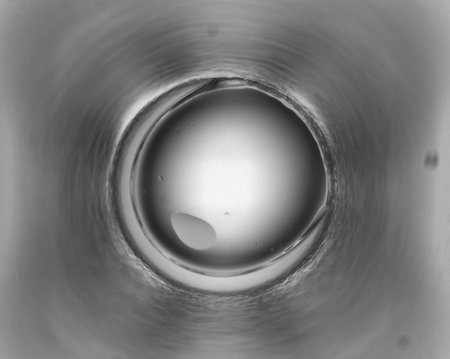 X0000094180928200711021002