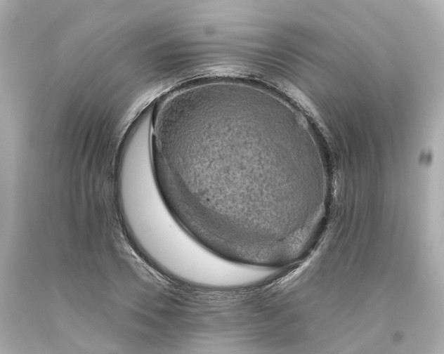 X0000094180930200711021002