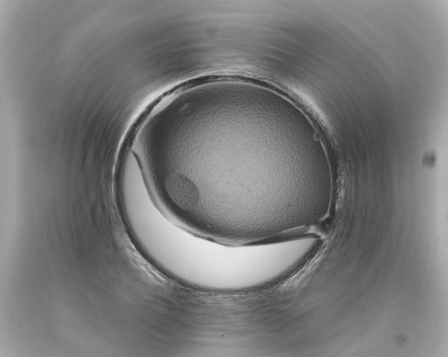 X0000094180932200711021002