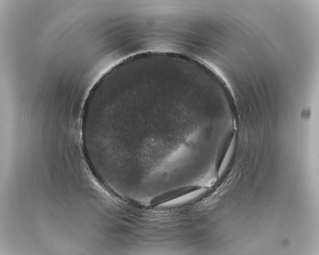 X0000094180935200711021002