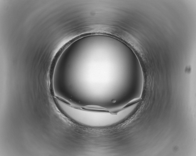 X0000094180936200711021002