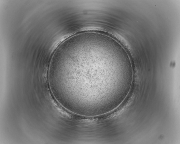 X0000094180937200711021002