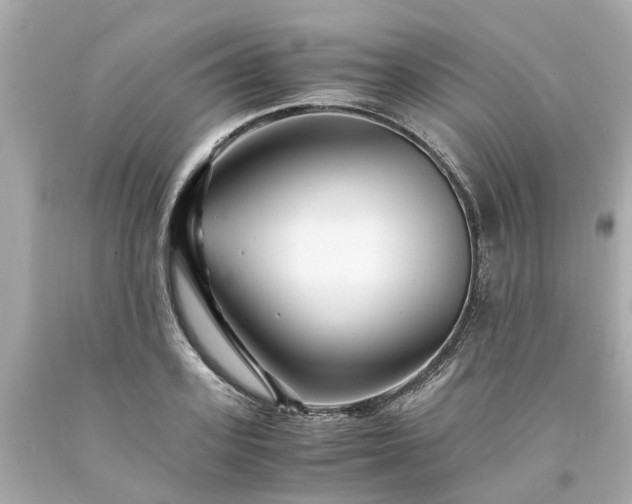 X0000094180939200711021002