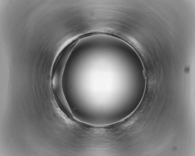 X0000094180940200711021002