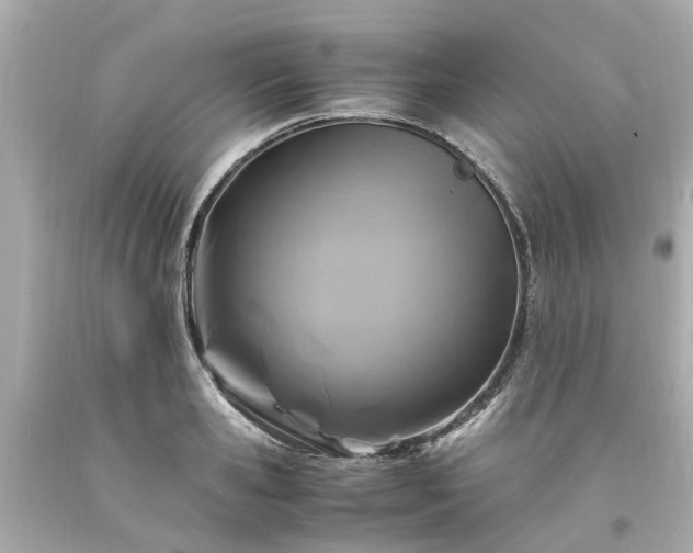 X0000094180941200711021002