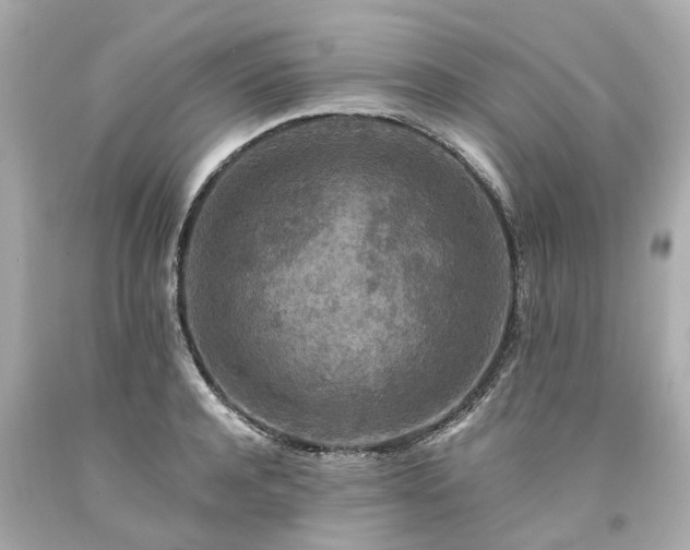 X0000094180944200711021002