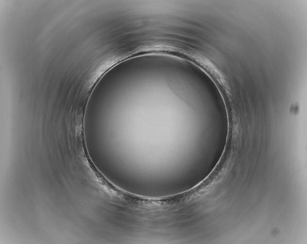 X0000094180945200711021002