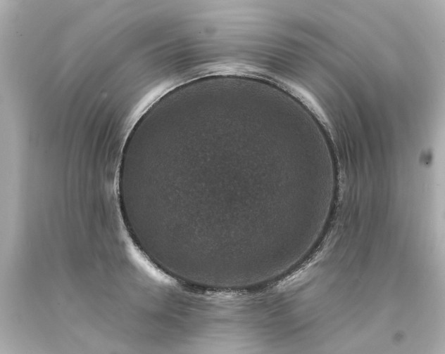 X0000094180946200711021002