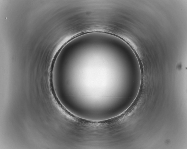 X0000094180949200711021002