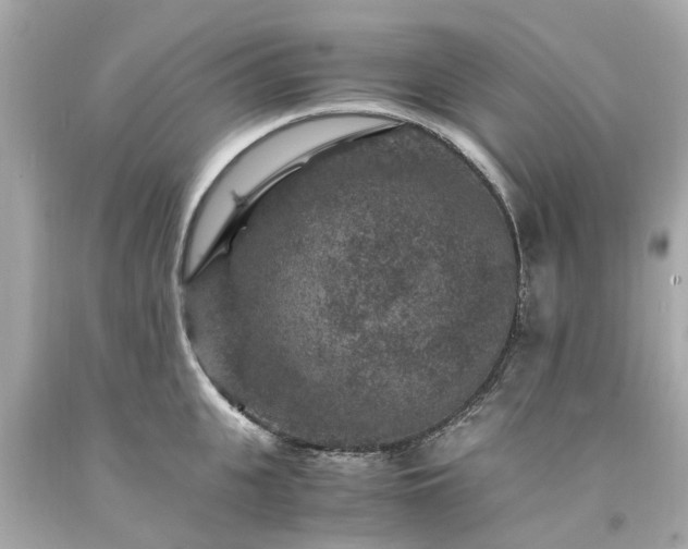 X0000094180951200711021002