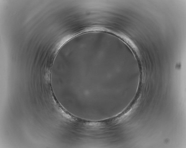 X0000094180953200711021002