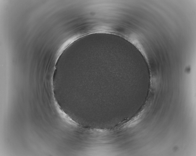 X0000094180954200711021002