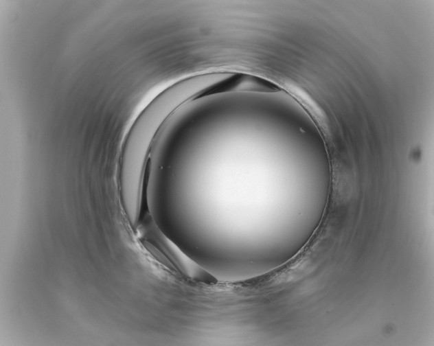 X0000094180956200711021002
