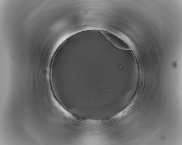 X0000094180958200711021002
