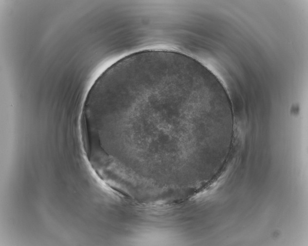 X0000094180959200711021002