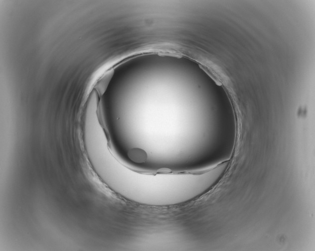 X0000094180960200711021002