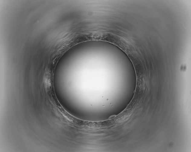 X0000094180962200711021001