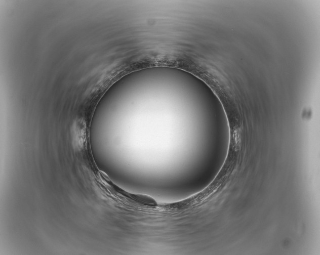 X0000094180963200711021001