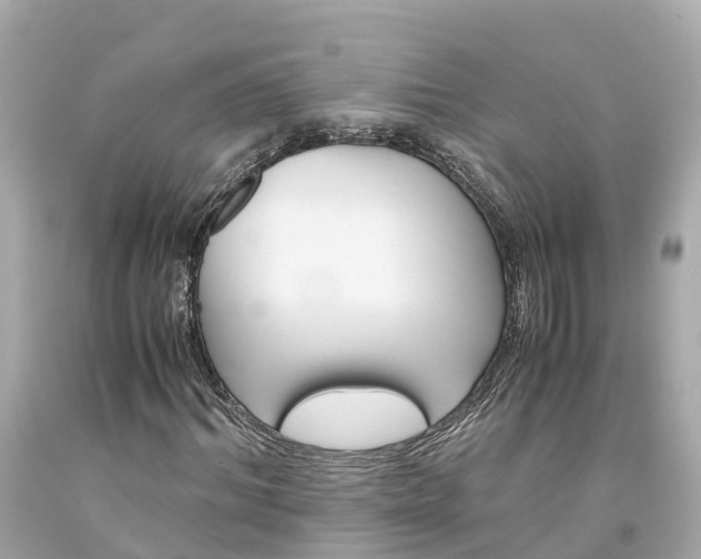 X0000094180964200711021001