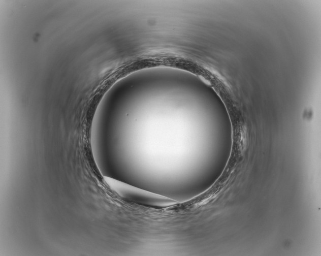X0000094180965200711021001