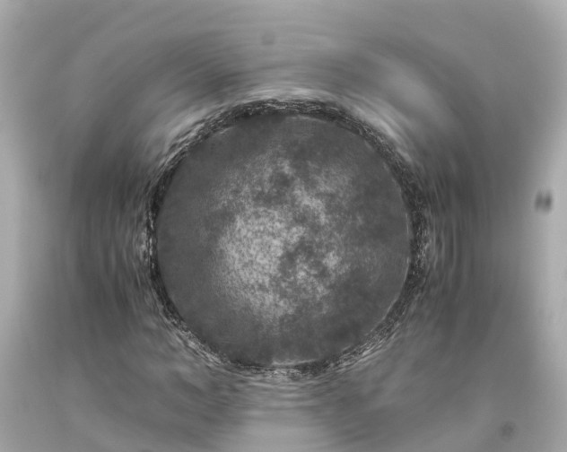 X0000094180966200711021001