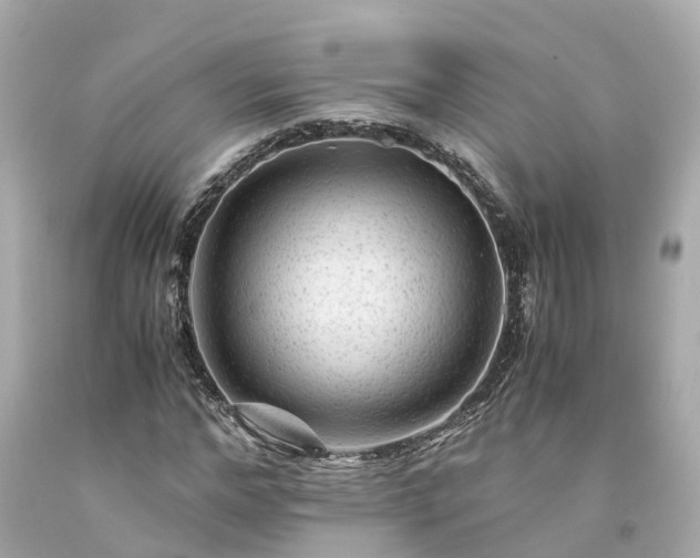 X0000094180968200711021001