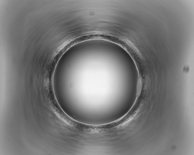X0000094180969200711021001