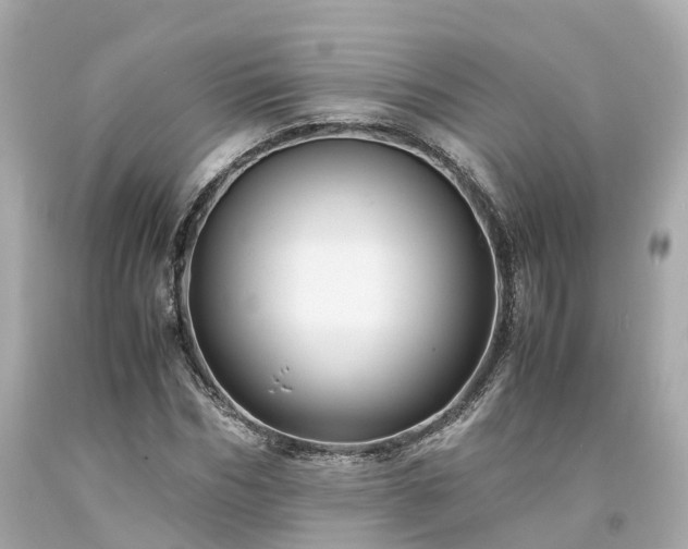 X0000094180970200711021001