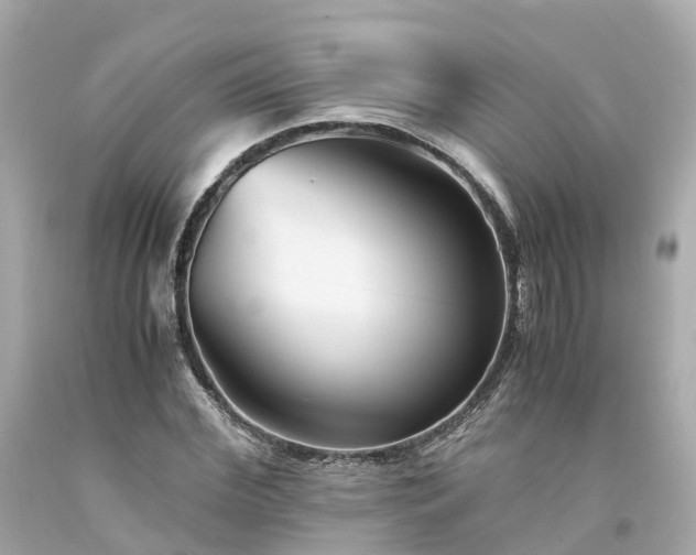 X0000094180972200711021001