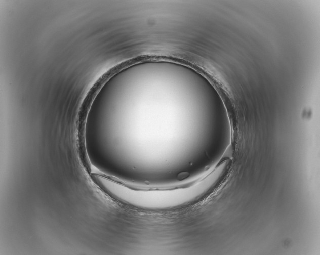 X0000094180976200711021001