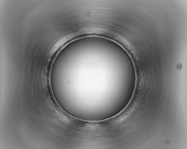 X0000094180978200711021001