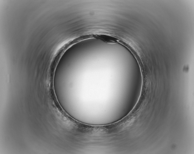 X0000094180979200711021001