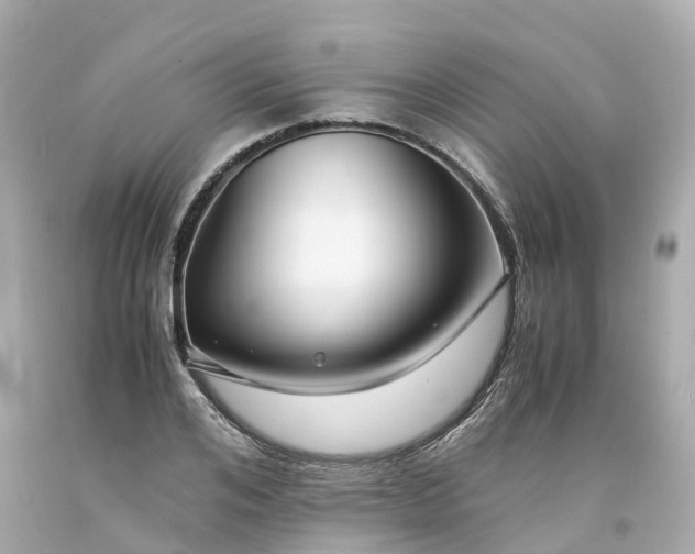 X0000094180984200711021001