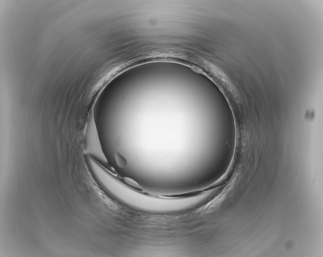 X0000094180985200711021001