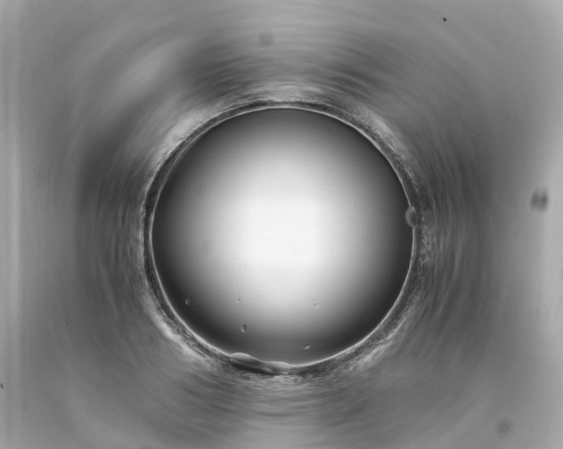 X0000094180986200711021001