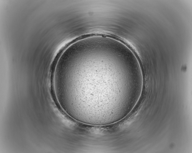 X0000094180987200711021001