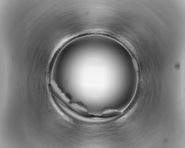 X0000094180989200711021001