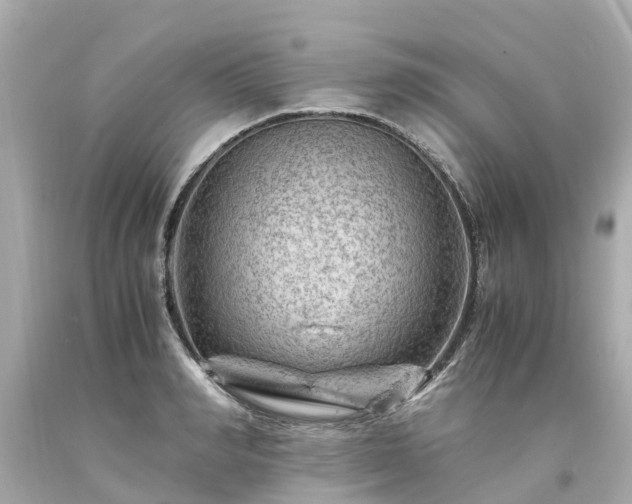 X0000094180990200711021001