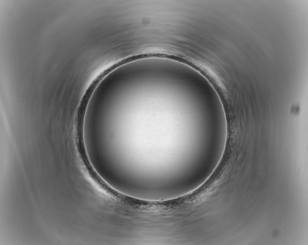 X0000094180991200711021001