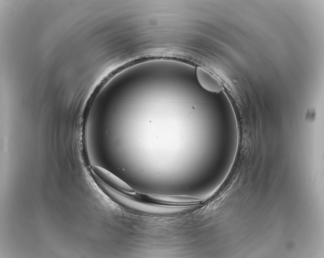X0000094180992200711021001