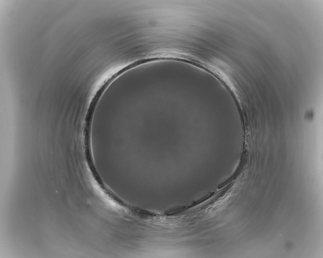 X0000094180995200711021001