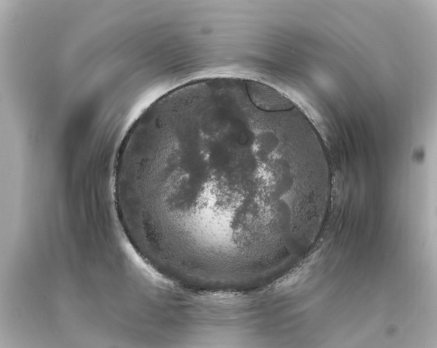 X0000094180998200711021001