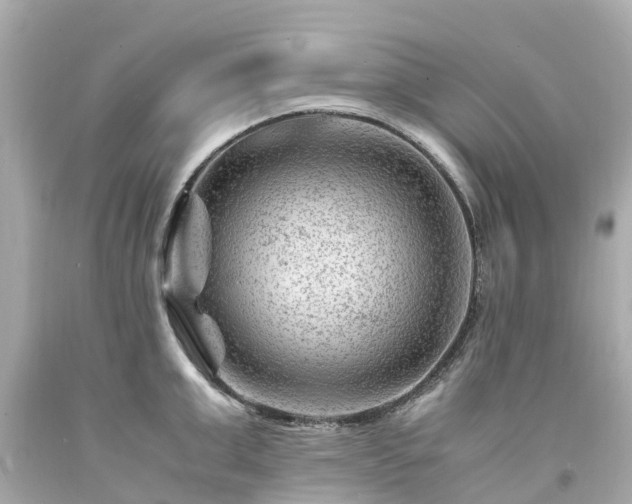 X0000094180999200711021001