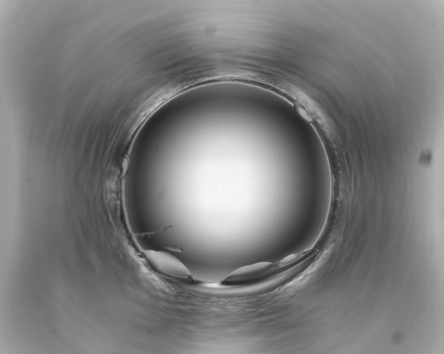 X0000094181001200711021001